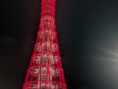 食後のお散歩。