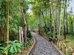 途中で左に曲がると
竹林の小径へ