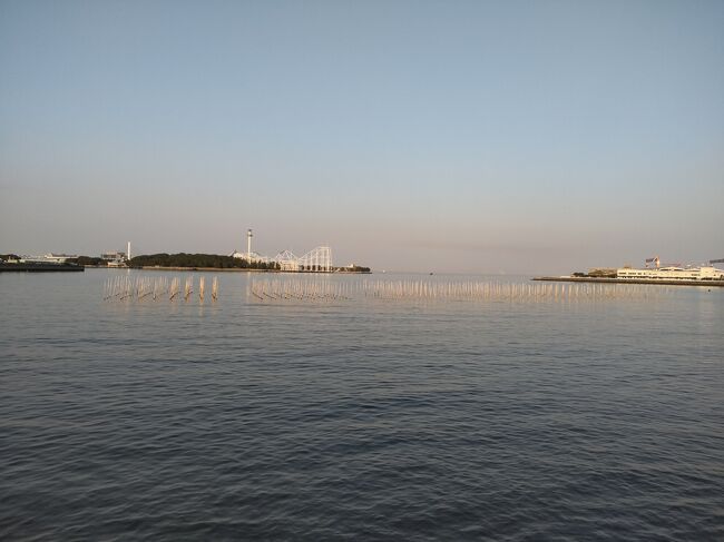 お馴染み、金沢湾の海苔ひびの光景