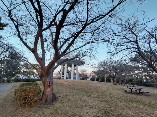 3月は開花が遅れ