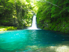 下まで降りると、おー、やはり朝より断然綺麗！