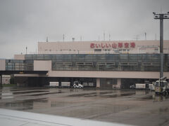 雨上がりの模様。