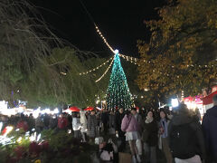 最後のスポット・袴腰広場に行くと、大きなクリスマスツリーがありました。
たくさんの人出があり、その周りに出店や野外ステージがありました。
