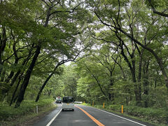 車での移動