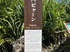 久高島の最北端【ハビャーン】

えっと、船が9:48頃に島に着いて、自転車の漕ぎだしが9:52頃。
上記のようにあちこち巡りながらここに着いたのは10:38でした。

意外と早い？
電動アシストのおかげです。