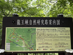 鬼怒川には何度か来ていますが、いつもほとんどホテルにお籠りしていて龍王峡というところがあることを知りませんでした。
川治温泉から全長6kmある渓谷沿いの遊歩道。