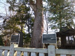 南蔵寺から自転車で５分ほど、葛西神社があります。