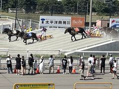 　ビギナーコーナーもあり、馬券の買い方など無料でレクチャーしてくれます。馬券をお買い上げの方もいました。そちらにも係りの方がいて、教えていました。直線200m、幅1.8ｍのセパレートコースでスピードとパワーを競います。
　さてレース開始、第１障害。高さ1ｍ。最初のヤマ場。馬によってはスタートしたものの立ち止まって動かない馬もいて、失笑。気持ちは分かります。36度を超えてるこんなに暑い中、やってられないよね。第2障害。高さ1.6ｍ。レースの行方を左右する最大の山場。
　こんなに近くで見ることもできます。14時半と1日の中で最も暑い時間だけど。私は屋根の下で、風を受けながら眺めるだけで十分。
