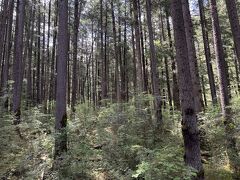 時間が足りなくなるのでカットして良いと言われましたがどーしても歩きたくなります。