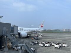 8:25大阪発ー9:40羽田着
JAL106便
