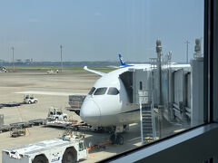 【第１日】
羽田空港10:25発の那覇空港行きに搭乗。
機材は、B787。3-3-3のシート配列。ほぼ満席で、窓側の席は取れず、通路側の席だが、隣に人はおらず。
10:21にドアクローズし、10:47に離陸。