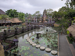 7:23 7時からヨガのレッスンを祭殿前でしてたけど
