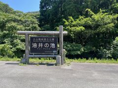 檀鏡の滝がかなり気に入った夫は調子に乗って「油井の池」にも行きたいという。

ここも昨日ルートから外してもらっていたけれど、絶対行きたいというので不本意ながら付き合うことにしたけれど、駐車場から先の遊歩道は通行止め。ガッツリロープが張ってあったので入れず。ホッ。

老朽化なのか、気候変動による大雨の影響なのか、この島の遊歩道は、整備不良のための通行止めが多かったです。