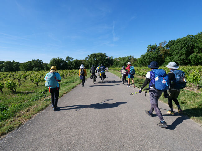 暑くなりそうです