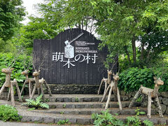 萌木の村に到着です。
広大な敷地にナチュラルガーデンを中心に、ショップ、ホテル、レストラン、メリーゴーラウンド、オルゴール博物館などが点在しています。