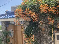 色彩村。