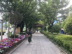 西面の地下街をウロウロして、オリヤンがあったから立ち寄ってみたら、愛用している口紅（ティント？）がセールだったので購入！
お土産の食料品はササンのイーマートで買うことにしました。
歩道が広いのと花が植えてありました。