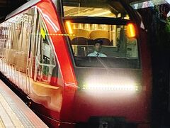 せっかくなので追加料金を払い人気の「ひのとり」に乗りました。