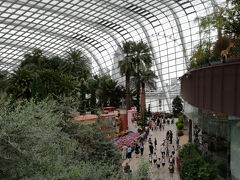 ○フラワー・ドーム

次は隣のフラワー・ドーム。
ここも有料だが、隣のクラウド・フォレストと共通入場券になっている。