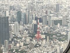 　東京タワー、久しぶり。