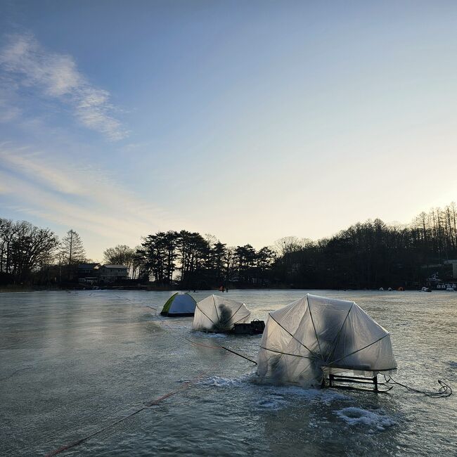 積雪もなく、氷も解けてないので本当につるつる(;O;)ｺﾜｲ...まるでスケートリンクのよう。<br /><br />この歳で転ぶと大事に至るのでゆっくりとすり足。歩くことだけに集中。