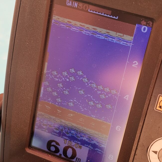 私の方はマイペ～～スに釣りを楽しんでいると、回遊キタ━━━(ﾟ∀ﾟ)━━━!!