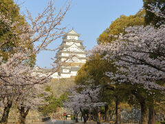美術館の駐輪場から姫路城がくっきりと見えます。

まだ時間が早かったので、朝日を浴びてキラキラしています。
桜も満開でしたし、早朝で人通りもありませんし、もの凄く良い気分で散策が出来ました。
