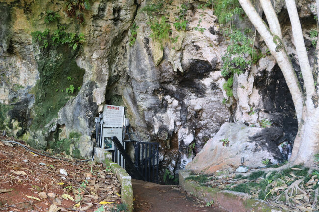 鍾鍾乳洞は、石灰岩などが長い年月をかけて雨水や地下水で浸食されてできた自然の洞窟のこと、だからこの山に見えるエリアは石灰岩と言う事ですネ。