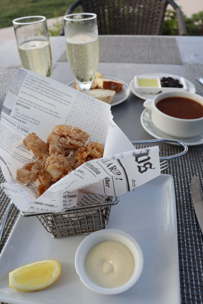 1名朝30ドル夕90ドル付き120ドルにしたのですが、メニュー構成は分かりませんでした。<br />普通はコースメニューがありここから何、ここから何、と言う感じで3コースとか4コースかと思ったのですがここはメニューから好きに選ぶそう。<br />レストランのメニューもカジュアルなイタリアン系ともう一つはフォーマルなメニューと２つあり自由です。<br />お魚のスープとカラマリ<br />カラマリはとても美味しいです。