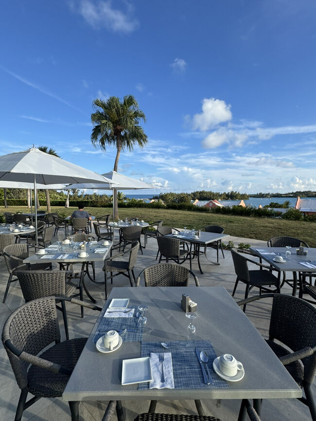 外で頂くのも気持ちいいですが・・・