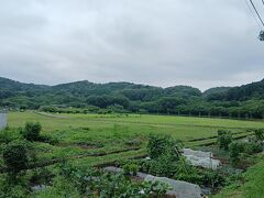 巾着田初めて来ましたが広々しています