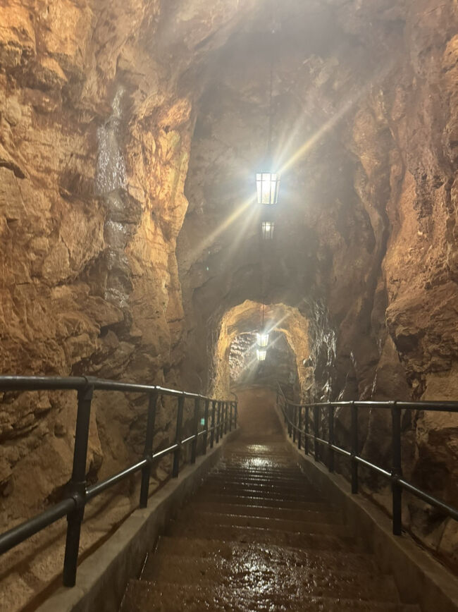 今度も山肌にある入り口から入って行きます。<br />ここは1907年にクリケットで遊んでた2名の子供がボールを落としてしまいボールを探しているときに偶然見つけたそうです。<br />そういや、オーストラリアの鍾乳洞の発見者も子供だったなぁ。<br />この日の朝に短時間だったけどざっと降る雨があったので床もよく濡れていました。