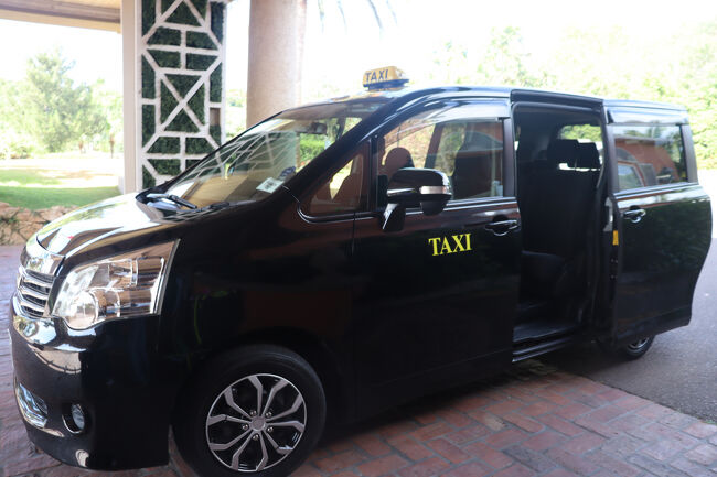 10時半にタクシーを頼んでいました。お部屋が3階で階段だしロビーまでは坂なのでトランクのピックアップをお願いしてたけど時間遅めでした。早めに言ってる方が無難です。多額ではないのにポーターはチップを渡したらとっても喜んでくれるのでこちらも嬉しく渡し甲斐があります。<br />今日乗るカナダエアーは一人１つの手荷物というので夫の手提げを私の機内用トランクに入れてくれたらと思うのに夫は嫌そうです。だから機内用は預けにします。タクシー代は10ドルぐらいだったので13ドル渡しました。<br />