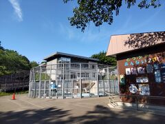 函館山公園は市電の青柳町下車５分ぐらい。
噴水・ミニ動物園・子供向けの遊園地もそろって、子供連れ必見の場所でした。

遊園地では子供に１日券を買ってあげて、日本で一番古い観覧車、電車の乗り物、ユンボ運転、トロッコみたいの？等々、混雑もなく乗り放題でした。

困ったのは昼ご飯を売ってるところがないこと。日陰が少ないところ。
