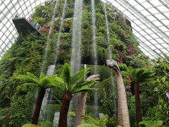 ○クラウド・フォレスト

入場したら、大きな滝がある。
よくもまあ、こんなものを作れたなと思った。

