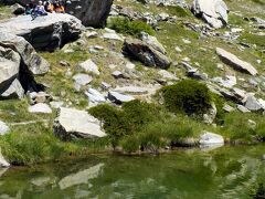 木々の間にグリンジ湖/Grindjseeが見えました