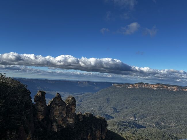 ブルーマウンテン、バスツアー』ブルーマウンテンズ周辺