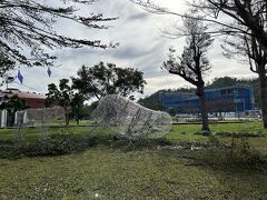 食後、サイクリング｡
鉄道芸術村のシロクマが倒れてる…｡