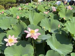 千葉公園