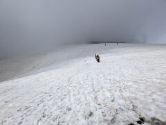 頂上直下の雪渓は、雪に慣れてない関東のオバサンにはきつい。ちゃんとアイゼンを装着した。