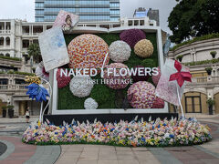 まだ時間があったから1881 ヘリテージへ。
いつもいろいろと装飾されているから、散歩には最適な場所。