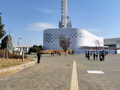 ニフレル【生きもの鑑賞】