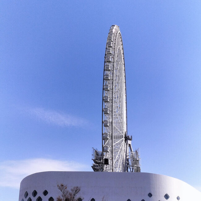 Redhorse OSAKA WHEEL