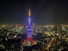 麻布台ヒルズの展望スペースからの眺望の写真。

東京タワービュー。

