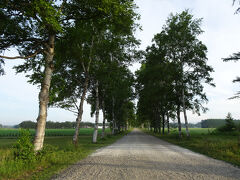 途中で十勝牧場の白樺並木に立ち寄ってみました。