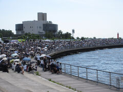 シーサイド コスモ (コスモスクエア海浜緑地)