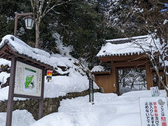 ラッセルして登りますか！