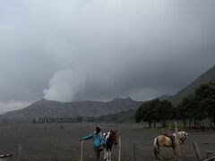 馬が待っているところで車から降りて、奥に見えるブロモ山へ。

有料で馬に乗って行くことも可能ですが、歩きます。
小雨が降ってきました。乾燥していると砂が舞い上がるそうなのでちょうどよかったかも。