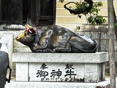 太宰府天満宮の牛さん
