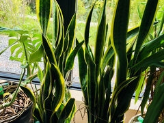 ホテル＆コンドミニアム 一花